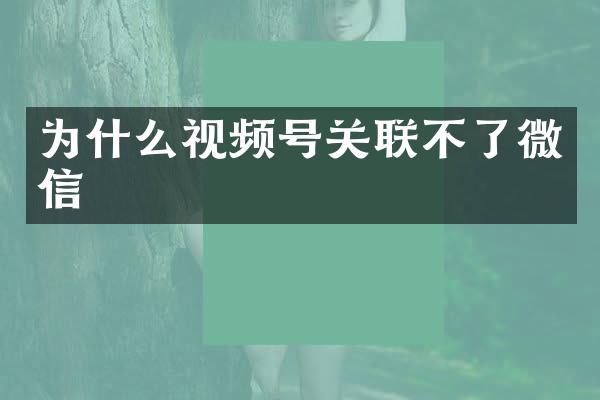 为什么视频号关联不了微信