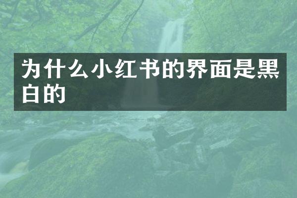 为什么小红书的界面是黑白的
