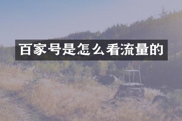 百家号是怎么看流量的
