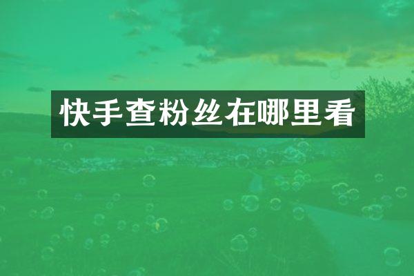 快手查粉丝在哪里看