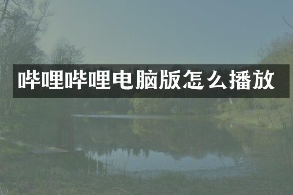 哔哩哔哩电脑版怎么播放