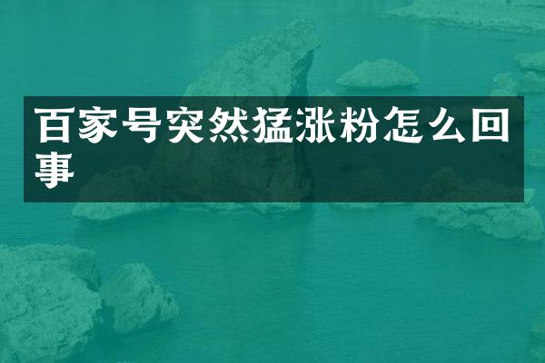 百家号突然猛涨粉怎么回事