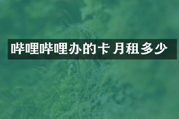 哔哩哔哩办的卡月租多少