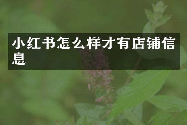 小红书怎么样才有店铺信息
