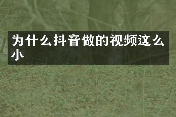 为什么抖音做的视频这么小