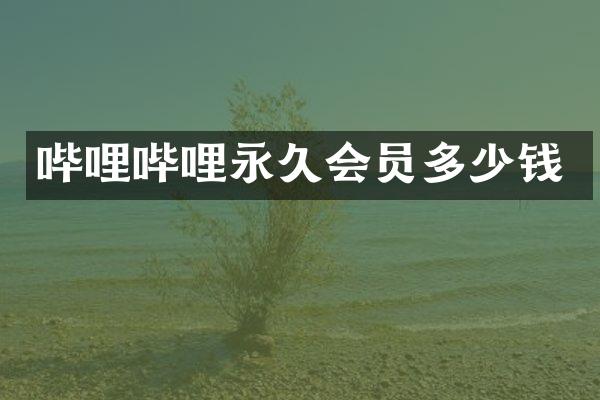 哔哩哔哩永久会员多少钱