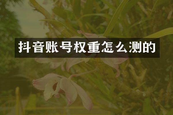 抖音账号权重怎么测的