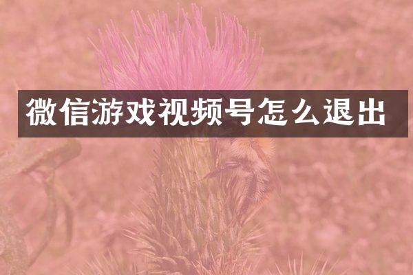 微信游戏视频号怎么退出