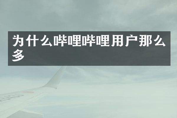 为什么哔哩哔哩用户那么多