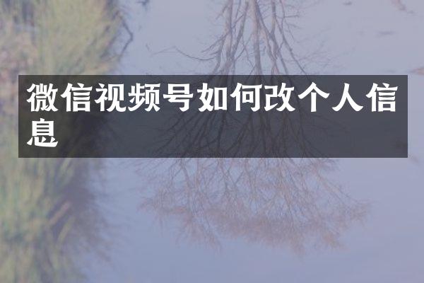 微信视频号如何改个人信息