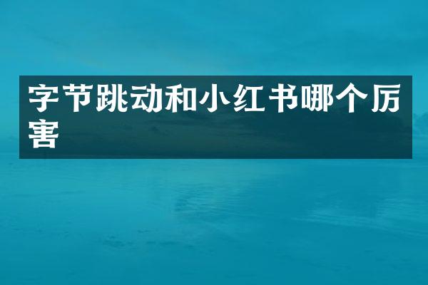 字节跳动和小红书哪个厉害