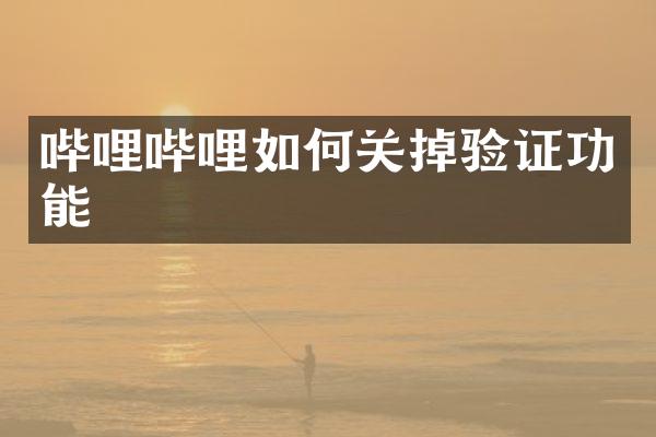 哔哩哔哩如何关掉验证功能