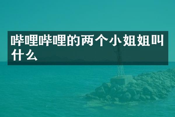 哔哩哔哩的两个小姐姐叫什么