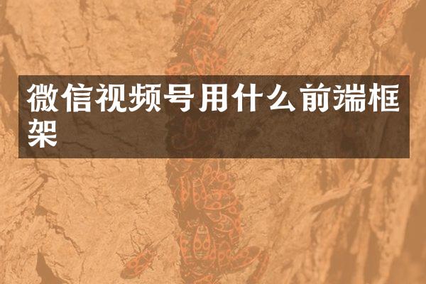 微信视频号用什么前端框架