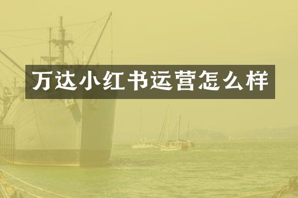 万达小红书运营怎么样