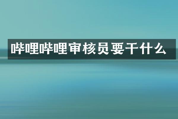 哔哩哔哩审核员要干什么