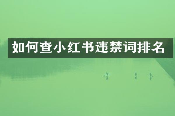 如何查小红书违排名