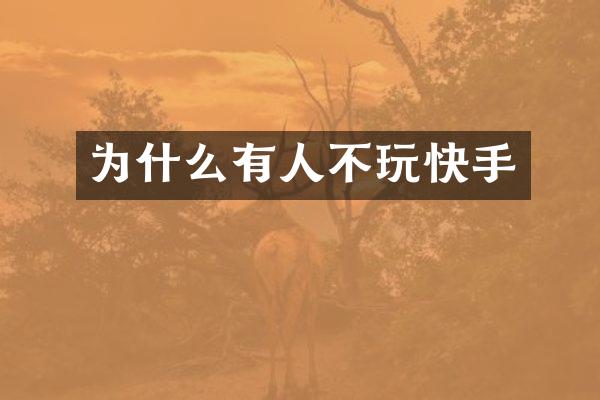 为什么有人不玩快手