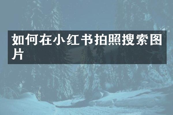 如何在小红书拍照搜索图片