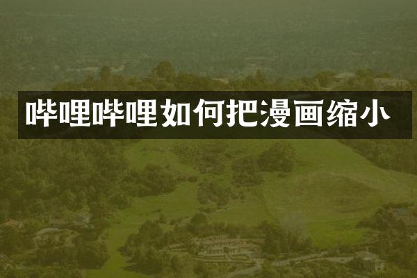 哔哩哔哩如何把漫画缩小
