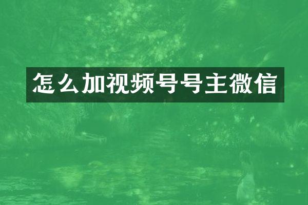 怎么加视频号号主微信