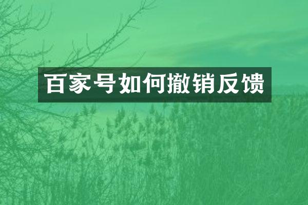 百家号如何撤销反馈