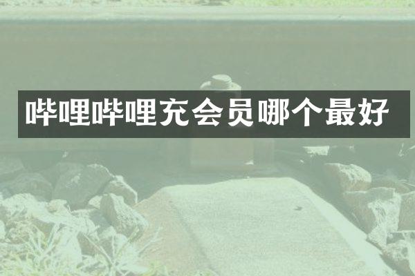 哔哩哔哩充会员哪个最好