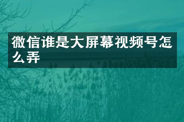 微信谁是大屏幕视频号怎么弄
