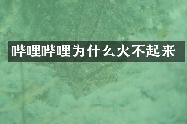 哔哩哔哩为什么火不起来