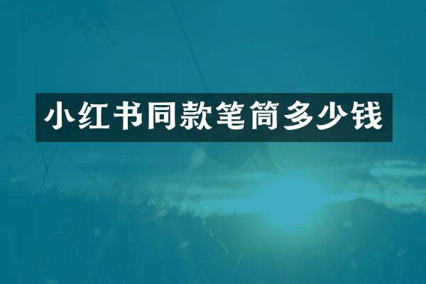小红书同款笔筒多少钱