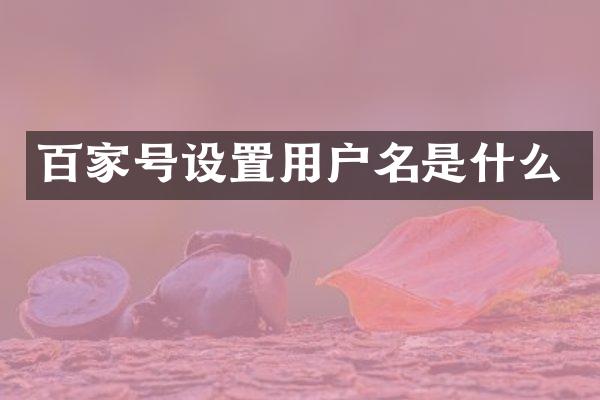 百家号设置用户名是什么