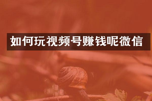 如何玩视频号赚钱呢微信