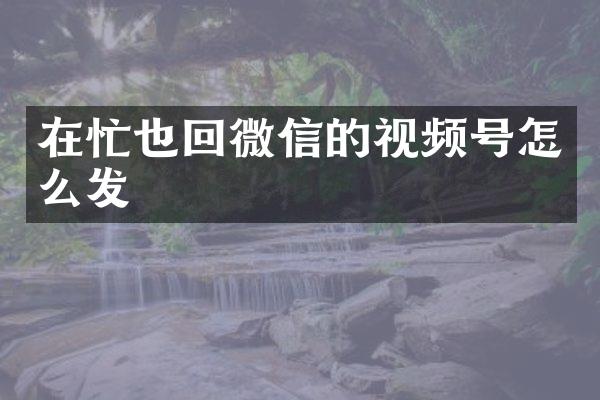 在忙也回微信的视频号怎么发