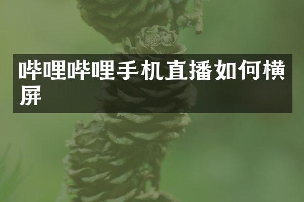 哔哩哔哩手机直播如何横屏