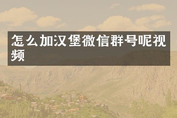 怎么加汉堡微信群号呢视频