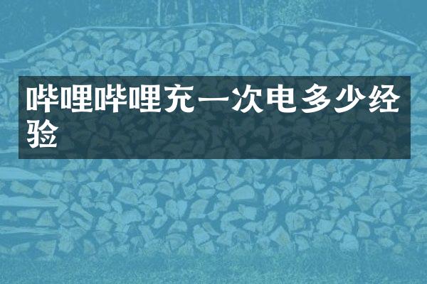 哔哩哔哩充一次电多少经验