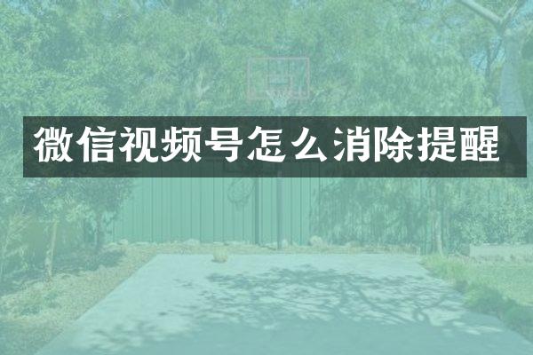 微信视频号怎么消除提醒