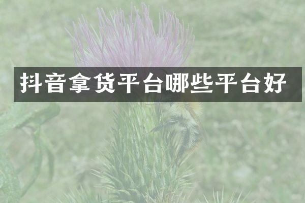 抖音拿货平台哪些平台好
