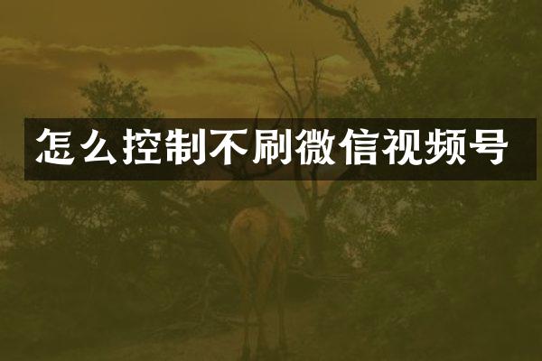 怎么控制不刷微信视频号