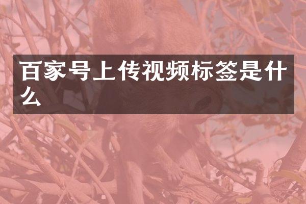 百家号上传视频标签是什么