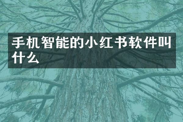 手机智能的小红书软件叫什么