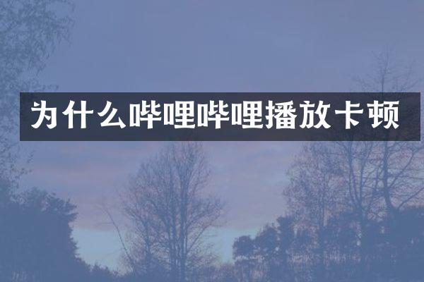 为什么哔哩哔哩播放卡顿