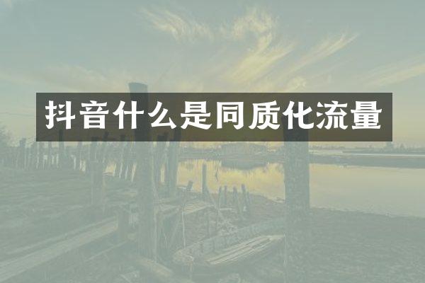 抖音什么是同质化流量