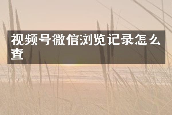 视频号微信浏览记录怎么查