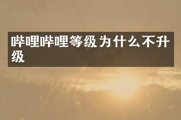 哔哩哔哩等级为什么不升级