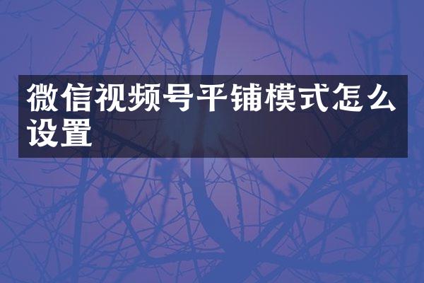 微信视频号平铺模式怎么设置