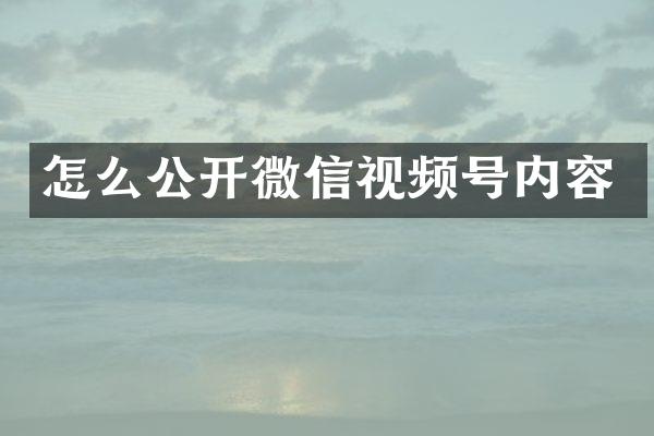 怎么公开微信视频号内容