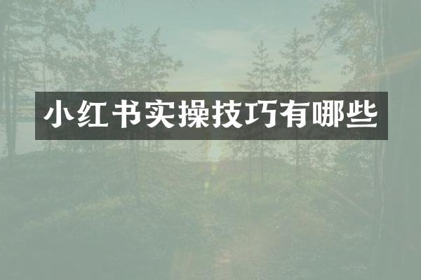 小红书实操技巧有哪些