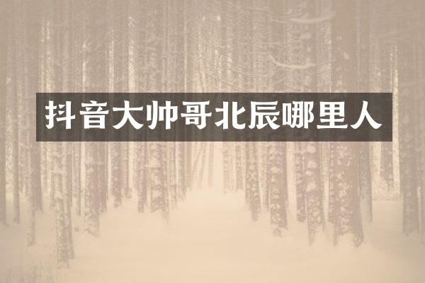 抖音大帅哥北辰哪里人