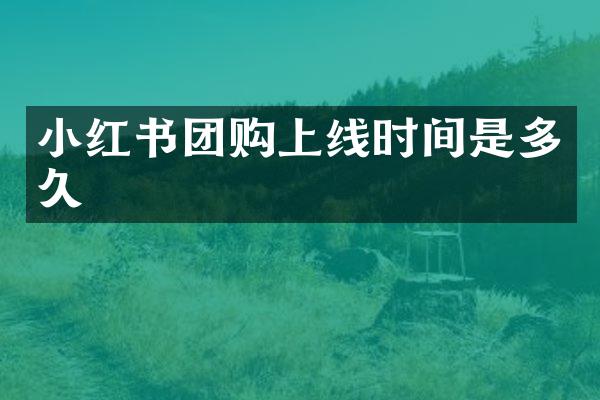 小红书团购上线时间是多久
